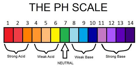 According To The Ph Chart Which Is The Strongest Base